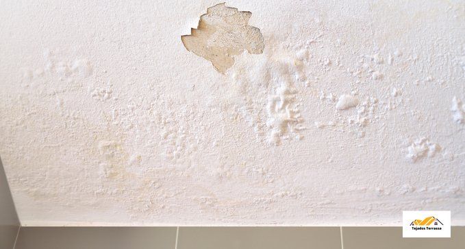 reparaciondegoterasyhumedadesenterrassa 1920w